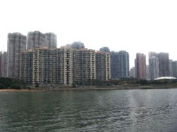 香港中原地產(chǎn)有限公司馬鞍山分行 專(zhuān)業(yè)房地產(chǎn)服務(wù)的可靠選擇