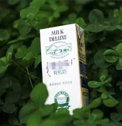 有機食品價格高企，馬鞍山美食廣場熱議 是健康投資還是消費泡沫？